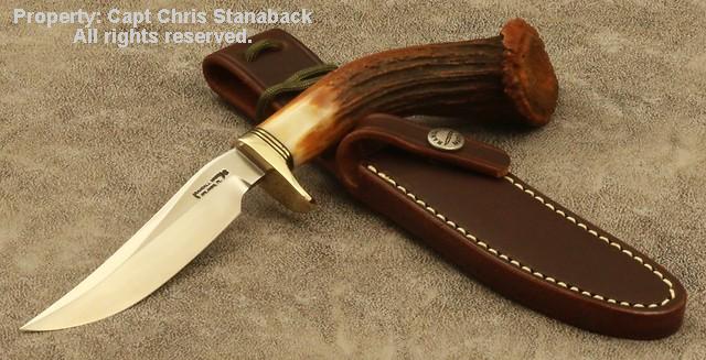 Randall Model #7-4 1/2 inch: CROWN STAG!